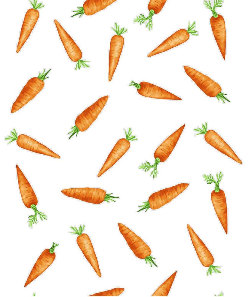 Полотно вафельное 50 см 29126-4 Морковки