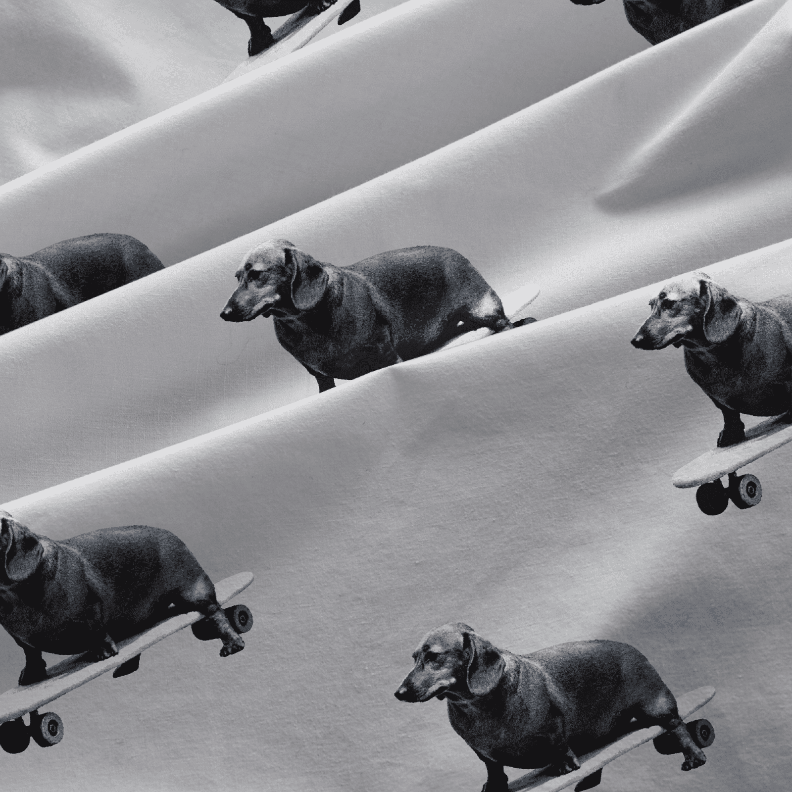 Перкаль 150 см наб 13473-1 Такса