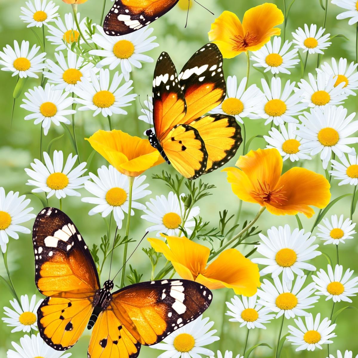 Полотно вафельное 50 см наб 5313-1 Бабочки