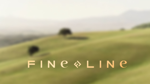 Постельное белье Fine Line