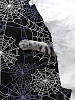 Простыня перкаль Crazy Getup 16561-1 Spiderweb black