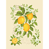 Полотно вафельное 50 см наб 29313-1 Лимоны