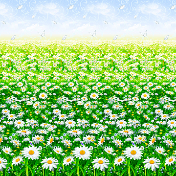 Бязь наб 220 см Премиум 6291-1 Ромашковое поле