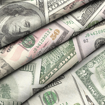 Перкаль 220 см наб 11489-1 Доллары