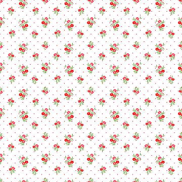 Ситец 95 см наб б/з 18981-2