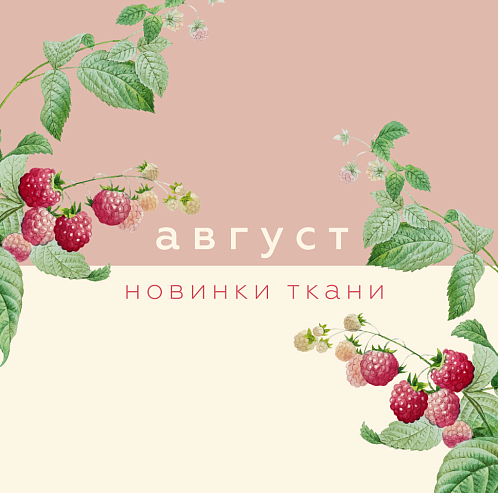 Новинки августа