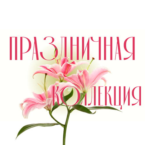 Праздничная коллекция 2026