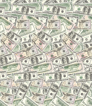 Перкаль 220 см наб 11489-1 Доллары