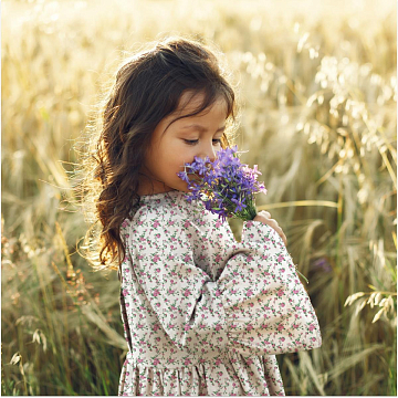 Перкаль 150 см наб 13510-1 Розочки