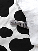 Простыня перкаль Crazy Getup 16397-1 Cow