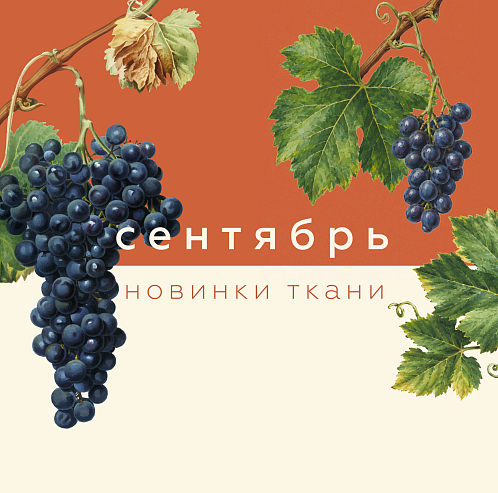Новинки сентября