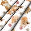 Простыня перкаль WENGE KIDS 16084-1 Kitten orange