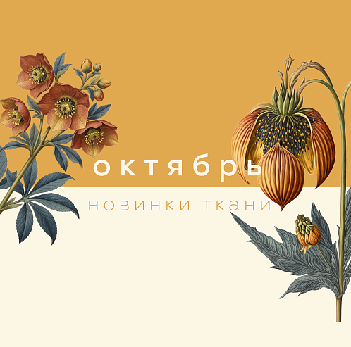 Новинки октября