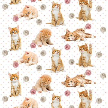 Перкаль 150 см 16084-1 Рыжие котята