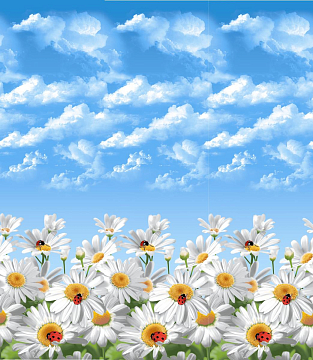 Бязь наб 220 см Премиум 11733-1 Воздушные ромашки